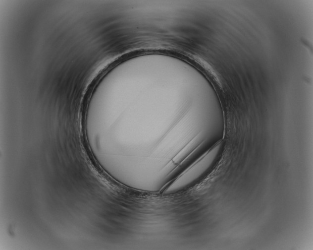 X0000098050935200804251100