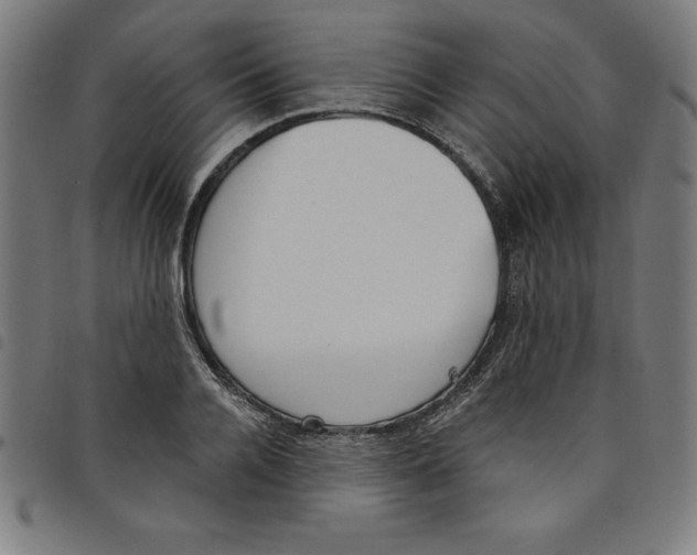 X0000098050936200804251100