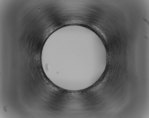 X0000098050937200804251100