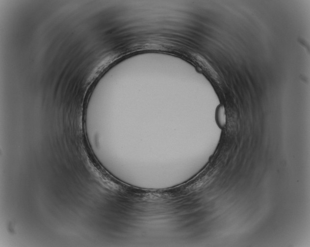 X0000098050938200804251100