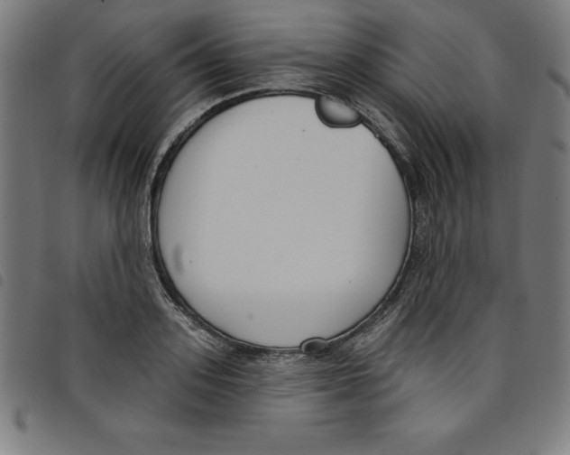 X0000098050939200804251100