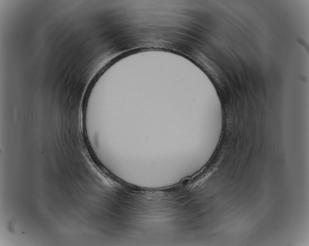 X0000098050940200804251100