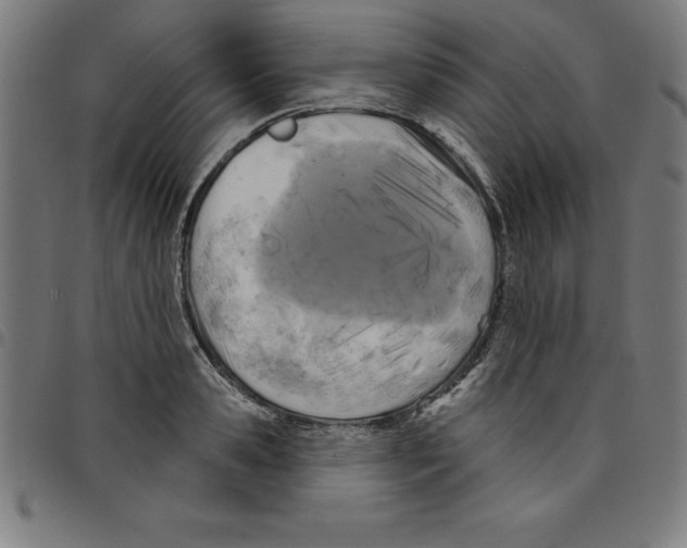 X0000098050941200804251100