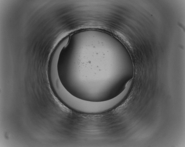 X0000098050942200804251100