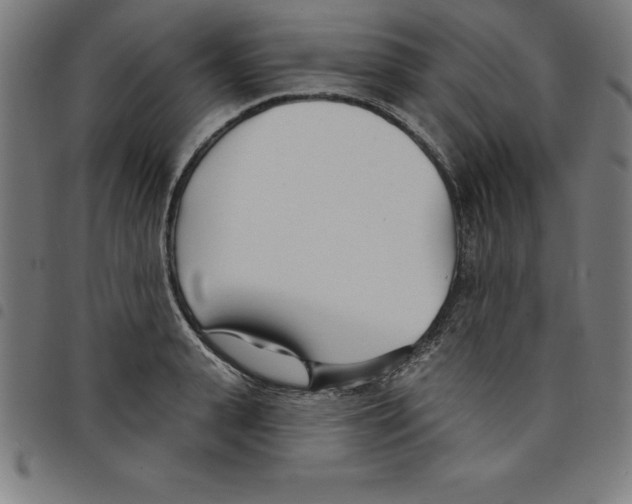 X0000098050943200804251100