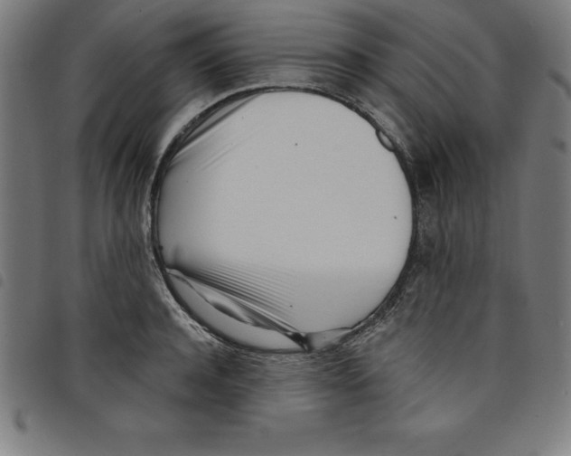 X0000098050944200804251100