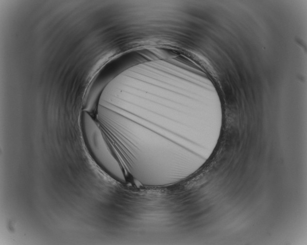 X0000098050946200804251100