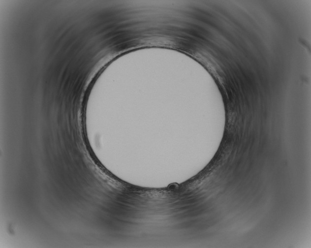 X0000098050947200804251100