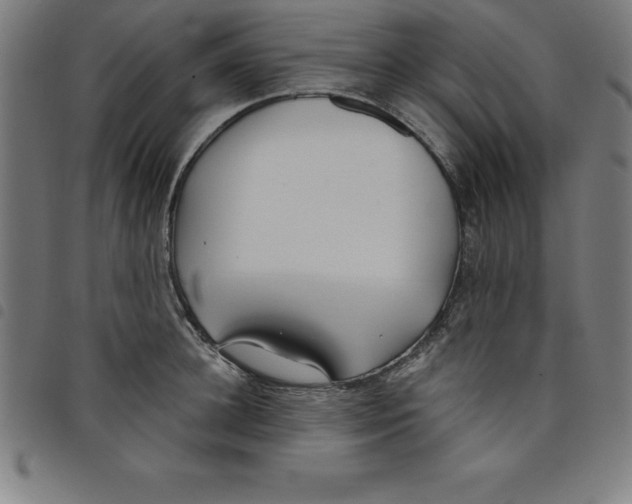 X0000098050948200804251100