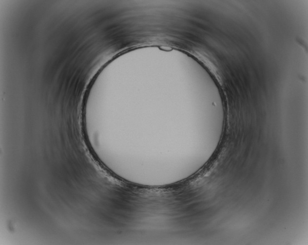 X0000098050949200804251100