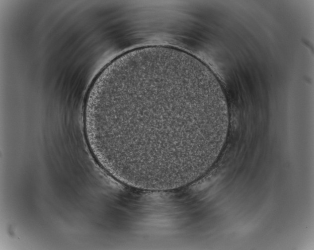 X0000098050950200804251100