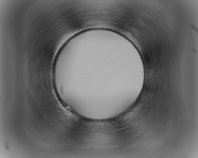 X0000098050951200804251100