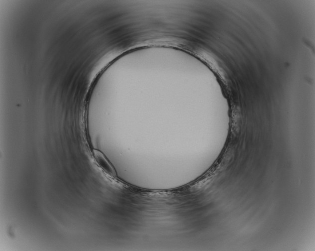 X0000098050952200804251100