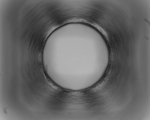 X0000098050953200804251100