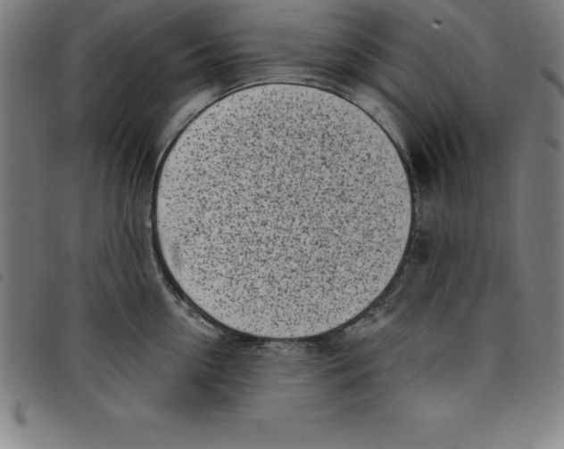 X0000098050954200804251100