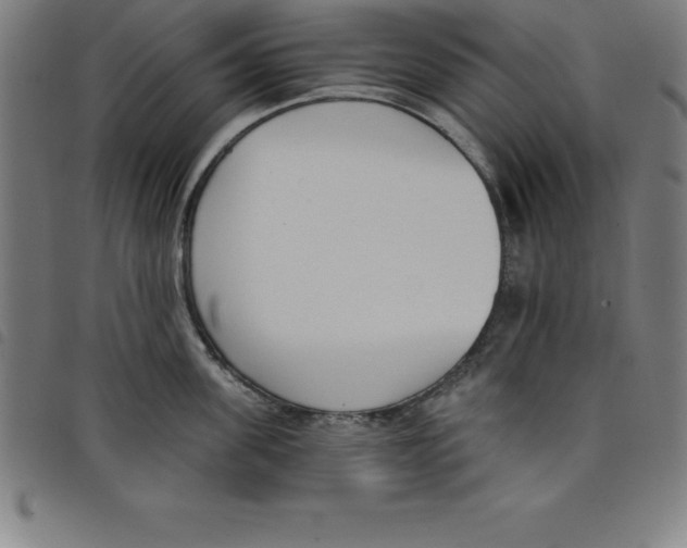 X0000098050955200804251101