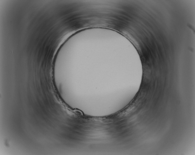 X0000098050956200804251101