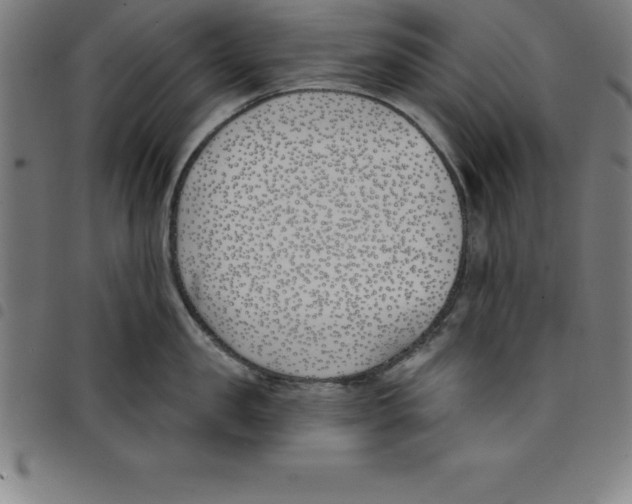 X0000098050957200804251101