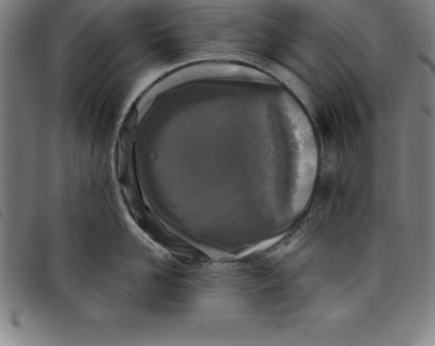 X0000098050958200804251101