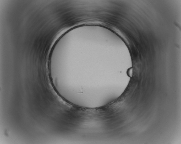 X0000098050959200804251101