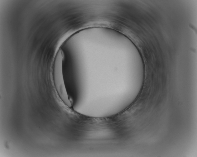 X0000098050960200804251101