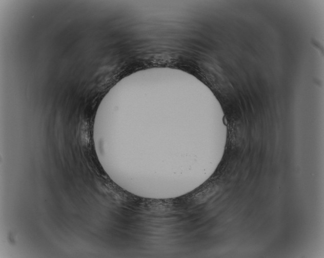 X0000098050962200804251100