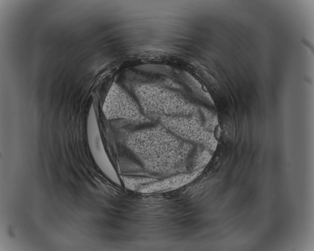 X0000098050964200804251100