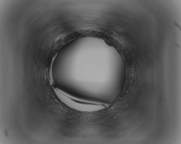 X0000098050965200804251100