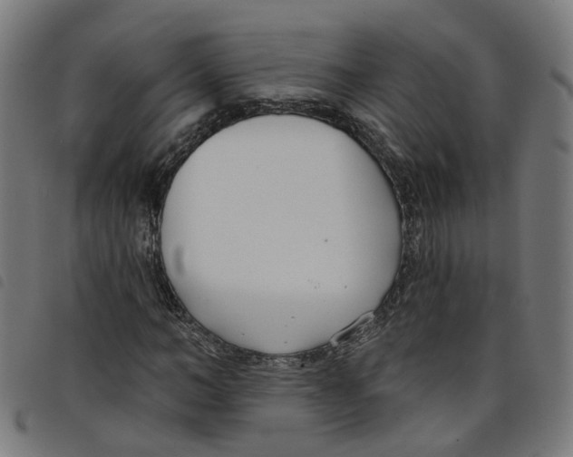 X0000098050966200804251100