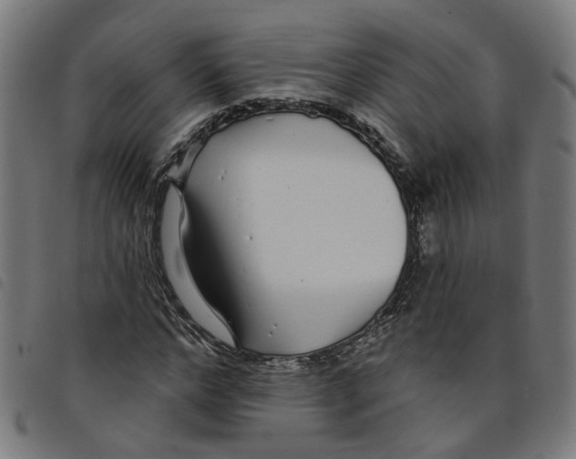 X0000098050968200804251100