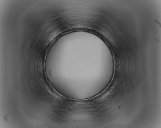 X0000098050969200804251100