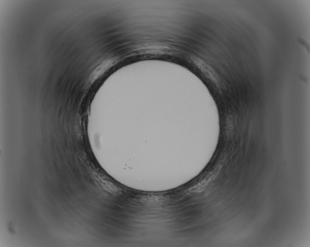 X0000098050970200804251100