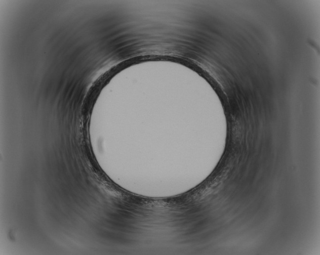 X0000098050971200804251100