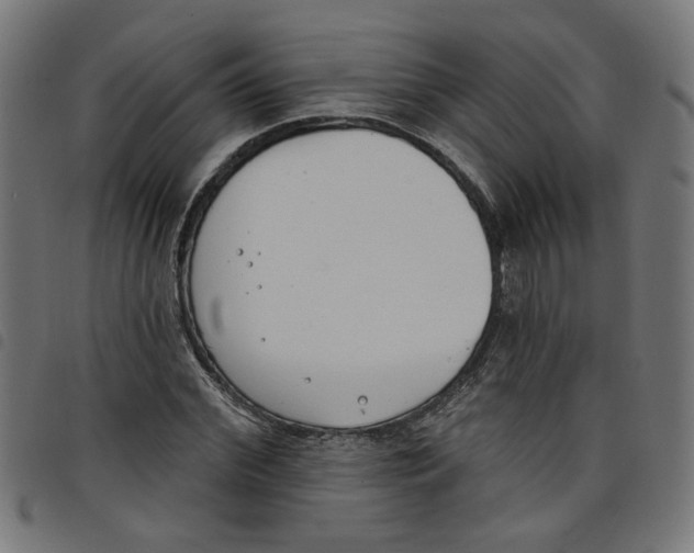 X0000098050972200804251100