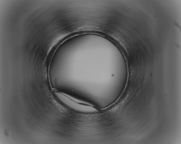 X0000098050973200804251100