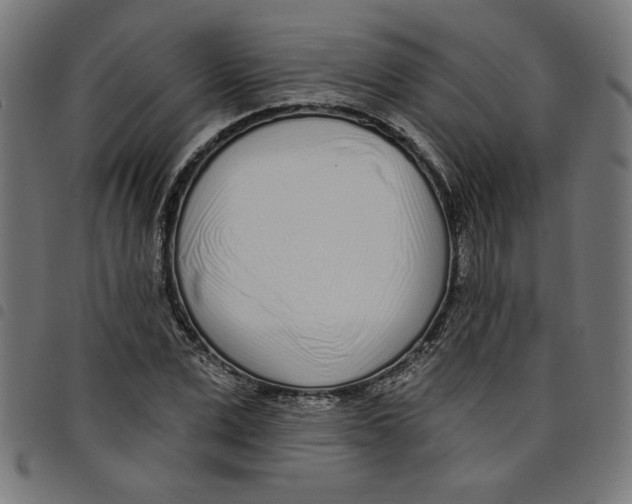 X0000098050975200804251100