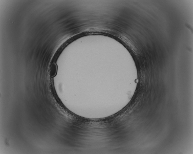 X0000098050976200804251100