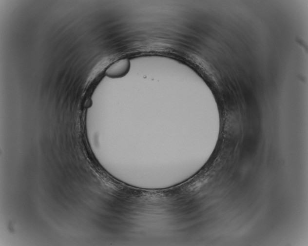 X0000098050978200804251059