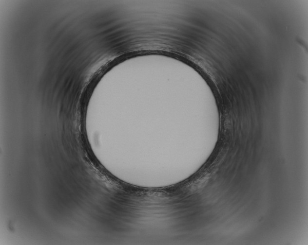 X0000098050979200804251059