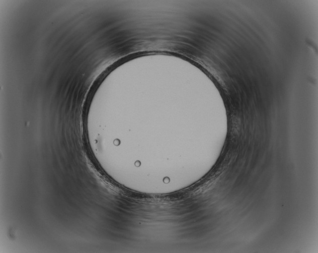 X0000098050980200804251059