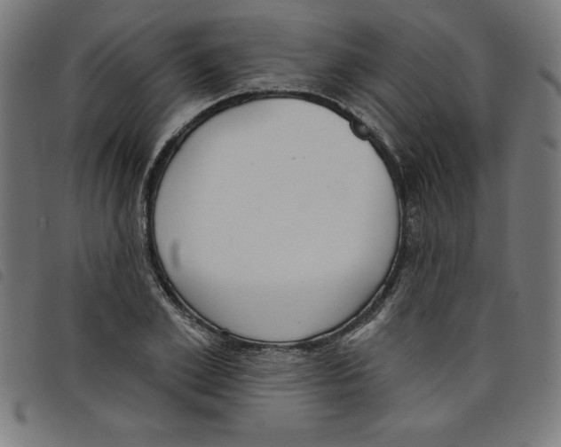 X0000098050981200804251059