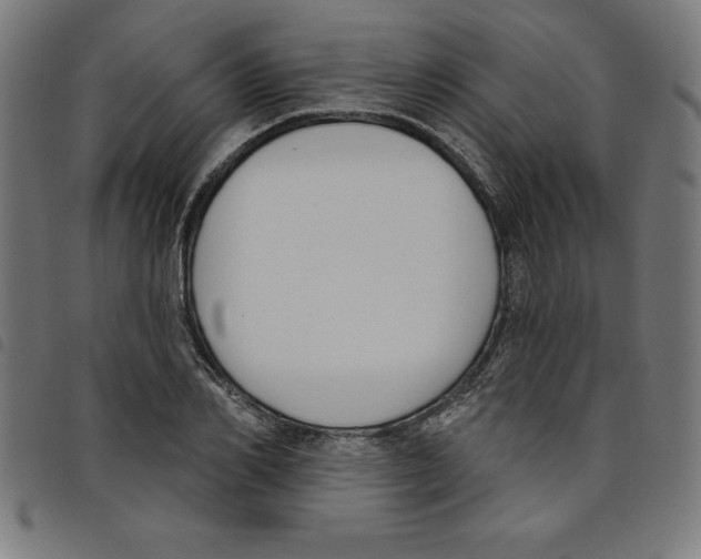 X0000098050982200804251059