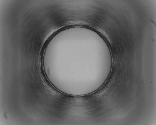 X0000098050983200804251059