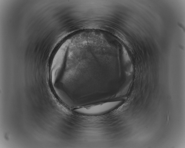 X0000098050984200804251059