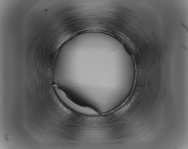 X0000098050985200804251059