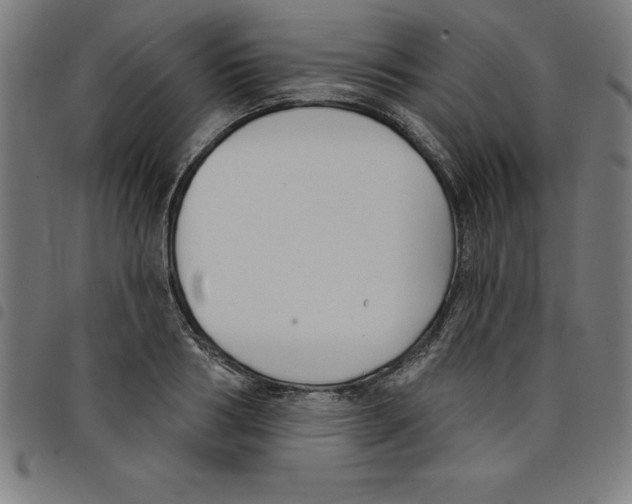 X0000098050986200804251059