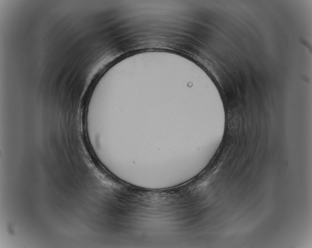 X0000098050987200804251059