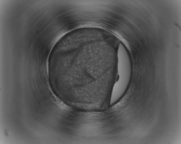 X0000098050988200804251059