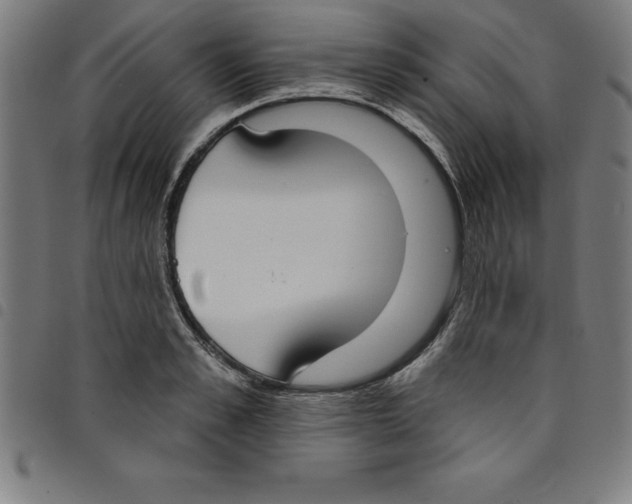 X0000098050989200804251059