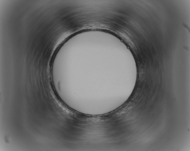 X0000098050990200804251059